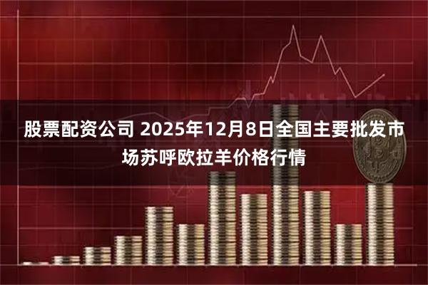 股票配资公司 2025年12月8日全国主要批发市场苏呼欧拉羊价格行情
