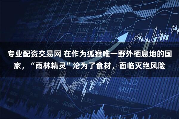 专业配资交易网 在作为狐猴唯一野外栖息地的国家，“雨林精灵”沦为了食材，面临灭绝风险