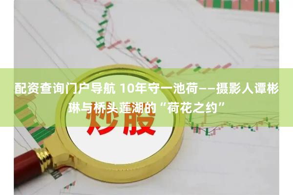 配资查询门户导航 10年守一池荷——摄影人谭彬琳与桥头莲湖的“荷花之约”